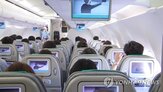 줄무늬뱀,항공기,결항,기내