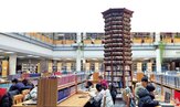 성과,학위,중국,개발,실무,현장,논문,학생,분야,산업