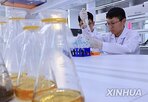 중국,기술,신약,수출,계약,기업,제약,세계,임상시험,규모