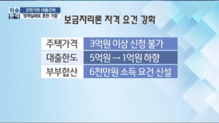 정부,대출,강화,보금자리,기자,가계부채,규제,실수요자,상품,시장