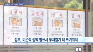 시장,정부,대책,부동산