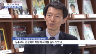 강남,당분간,하락,11.3,대책