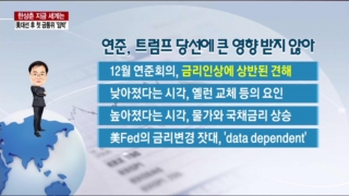 트럼프,미국,채무비율,국내,경기부양,국채금리,당선,성장률,정책