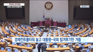 국회,경제,법안,정치적,결국