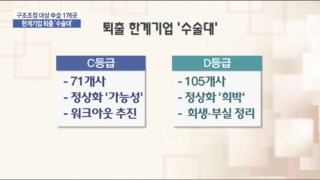 구조조정,기업,대상,대한,중소기업,퇴출,제조,반영