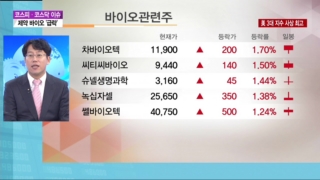 업종,강세,종목,상승,판단,투자,관련