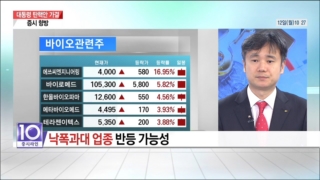 업종,지속,낙폭과대,중심,증시