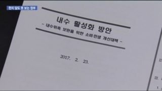 정부,중국,사드,대책