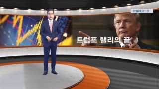 트럼프,미국,대한,대통령,김동환,당선,가능성,랠리