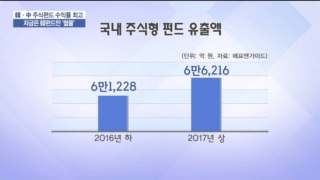 펀드,국내,신흥국,자금,수익률,투자자