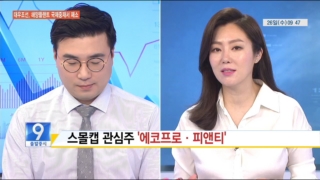 기대,매출,스몰캡,실적