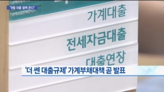 대출,규제,가계부채,발표,자영업자,강화