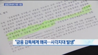 금감원,정부,감독,개편,금융감독체계