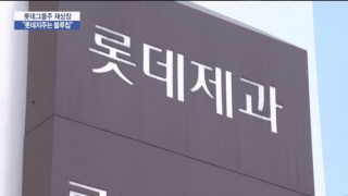 롯데지주,주가,롯데쇼핑,계열사,투자부문,보고,관심,오늘