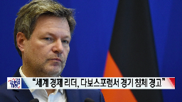 경제,전망,러시아,기업,중국,사업,현재,발언,하락,인플레이션