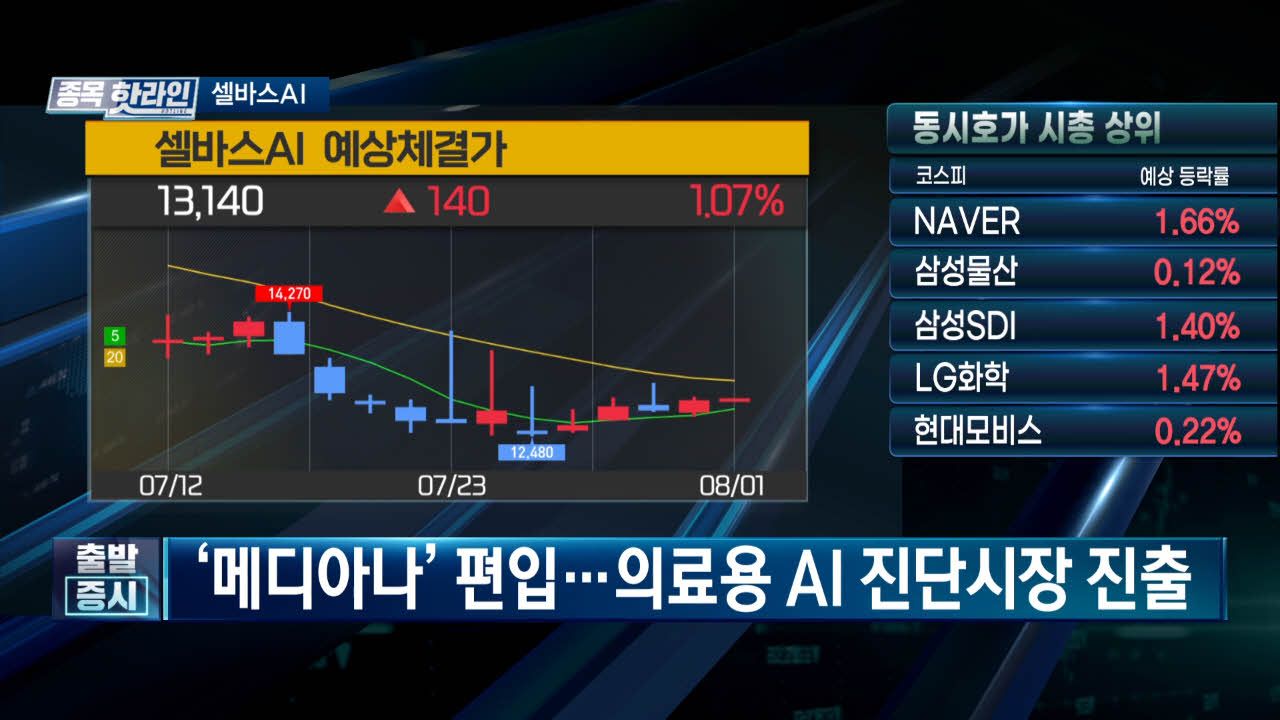 셀바스,이러한,수익