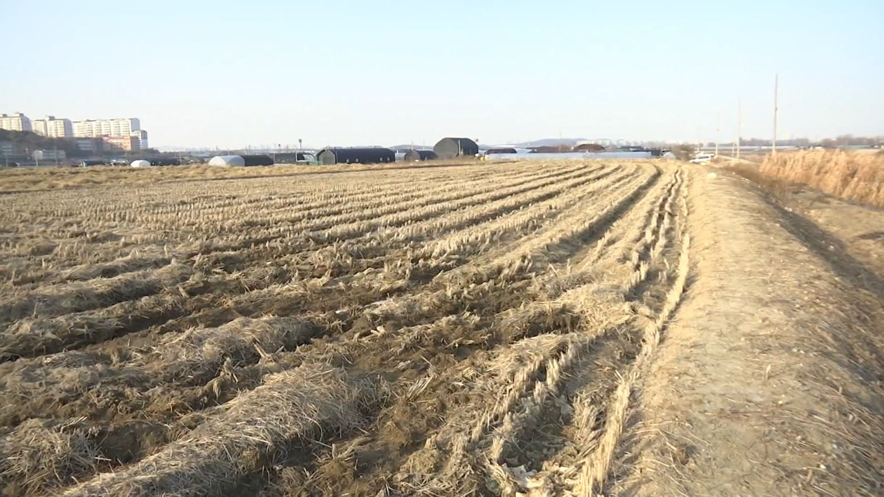 공급,그린벨트,서울,해제,주택,정부,안정,집값,수도권,건설사