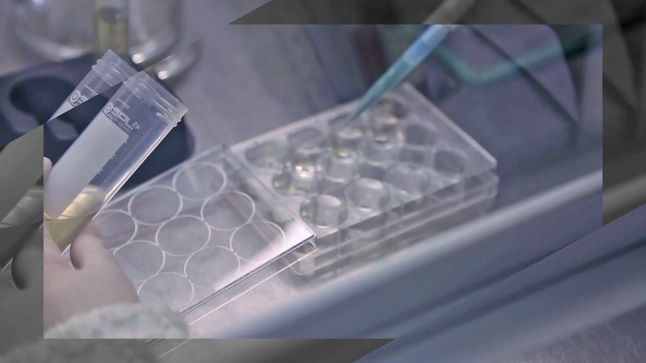 mRNA 국산화에 5천억...SK바사·에스티팜 주목 [바이탈]