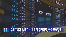 한국,미국,보고서,트럼프,관세,망사용료,입장,소고기,무역장벽
