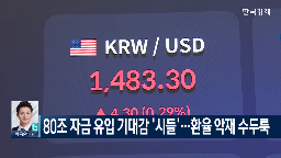 원화,환율,가치,달러,관세,미국