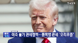 관세,미국,시장,트럼프,대한,가능성,중국,반도체,정책,행정부