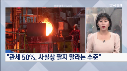 관세,수출,미국,철강,현지,경우,정부,기업,품목,사실상