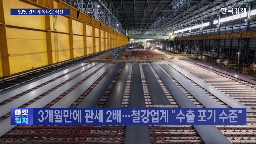 철강,관세,미국,중국,수출,대미,철근,제품,철강업,중국산