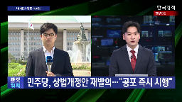 민주당,개정안,상법,시행,처리,법안,조항