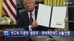 수출,관세,품목,반도체,최대,자동차,실적,미국