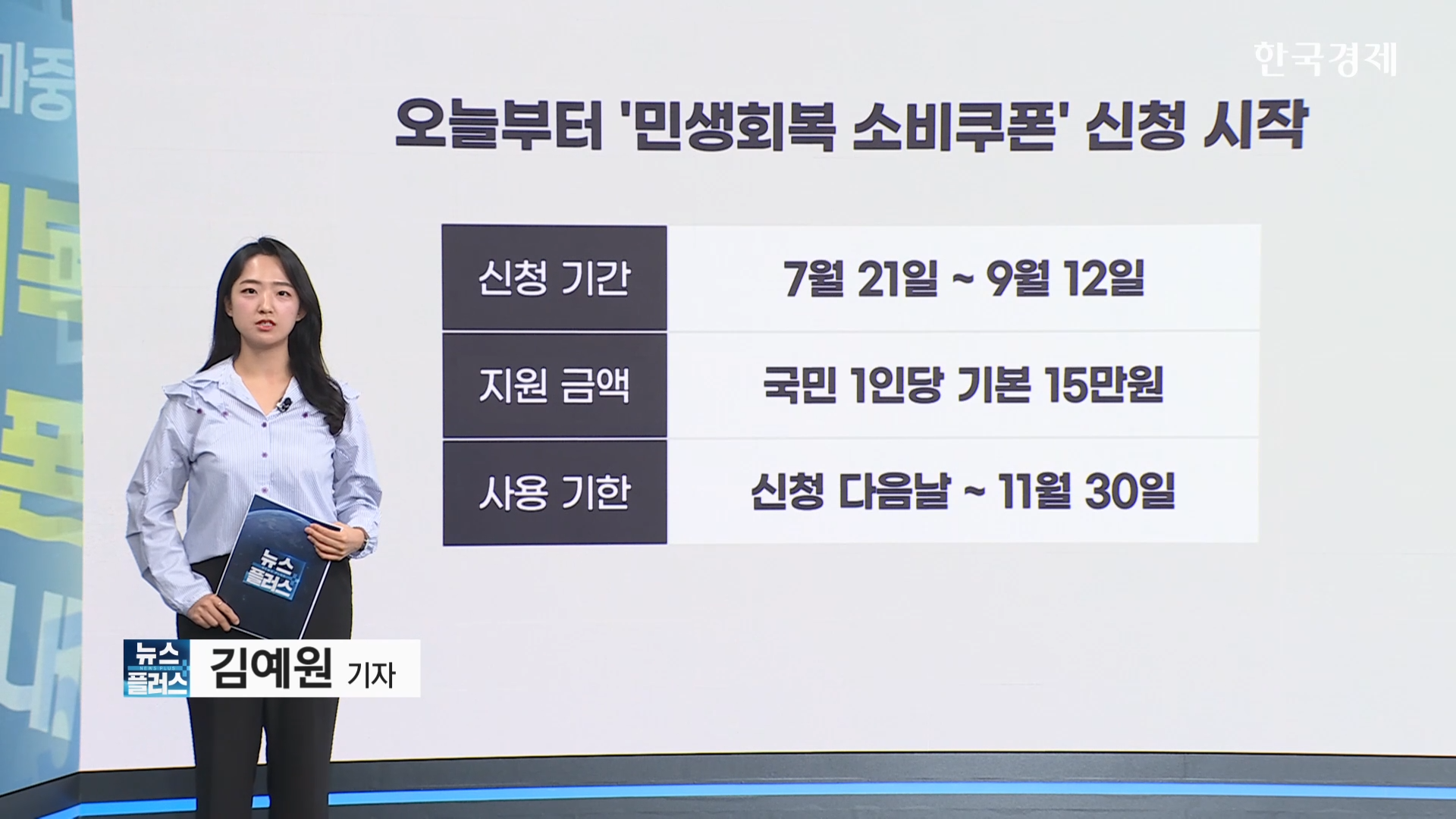 카드사,가맹점,소비쿠폰,정부,지급