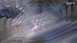 경고,프레가발린,성분,국내,제품,부작용,위험