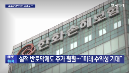 보험사,영향,실적,정책,주주환원,현대해상,증가,기준,메리츠,주가
