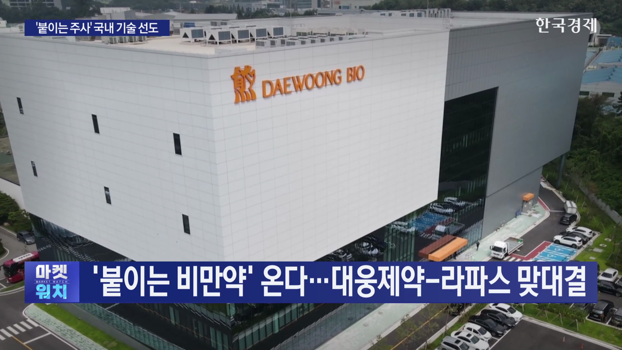 '붙이는 비만약' 나온다…대웅-라파스 맞대결
