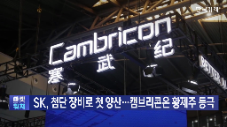 반도체,장비,중국,캠브리콘,엔비디아,도입,양산,기업,SK하이닉스,지난해