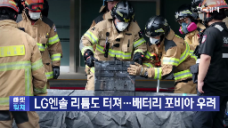 배터리,화재,리튬이온,주가,정부,핵심,마련