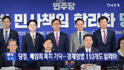 배임죄,폐지,처벌,형법,정부,방향,민주당,경제형벌