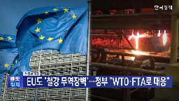 정부,대응,철강,수출,대한