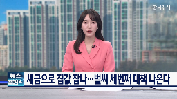 대책,규제,서울,부동산,지역,정부,예상,기자,공급,시장