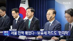 대출,부동산,세제,정부,규제지역,대책,서울,지역,보유세,합리화