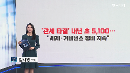 관세,업종,조선,수출,5천,반도체,거버넌스