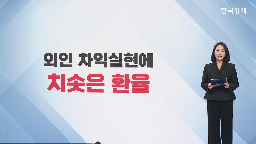 환율,달러,협상,관세,외국인,주식,금리,수준