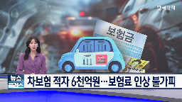 보험사,손해율,보험료,인상,올해,자동차보험,정부,포함