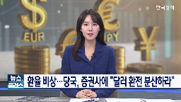 국민연금,주식,환율,헤지,시장,외환시장,국내,투자,자산,개입