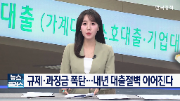 대출,은행,주담대,과징금,가계대출,신규,내년,규제