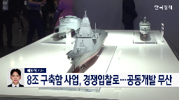 경쟁,사업,사업자,복수,선정,업체,한화,방사청