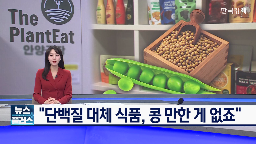 단백질,국산콩,이용,대표