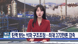 정부,기업,사업,지원,석유화학,제출,생산,방안,계획,사업재편