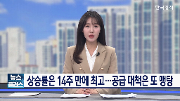 공급,정부,서울,대책,가구,가능성,기자,이후,착공,다시