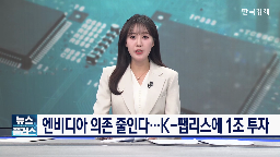 기업,반도체,국내,엔비디아,정부,스타트업