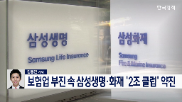 지난해,삼성생명,삼성화재,수준,보험,모두,회사